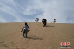 科尔沁沙地腹地：沙漠景区